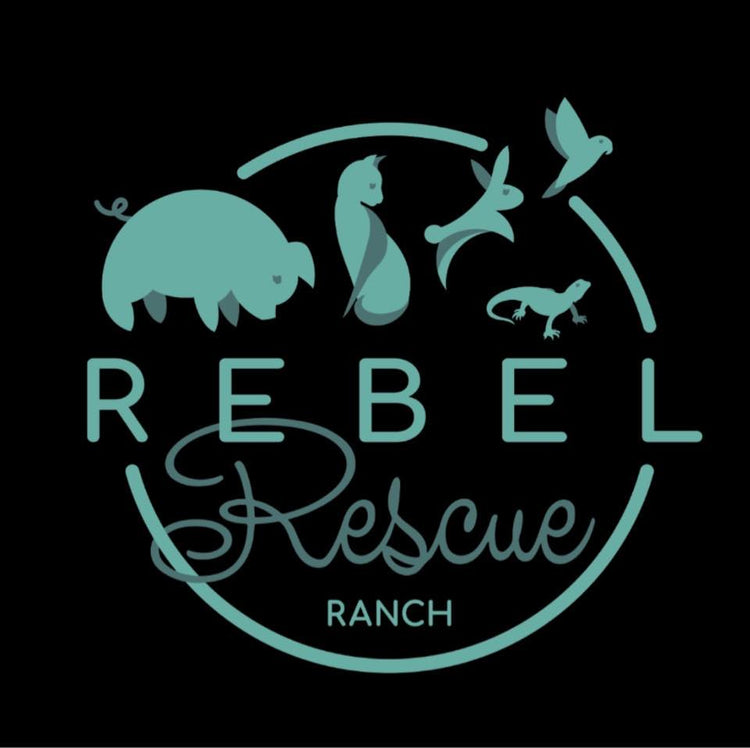 rebelrescueranch.com