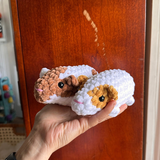 Guinea Pigs