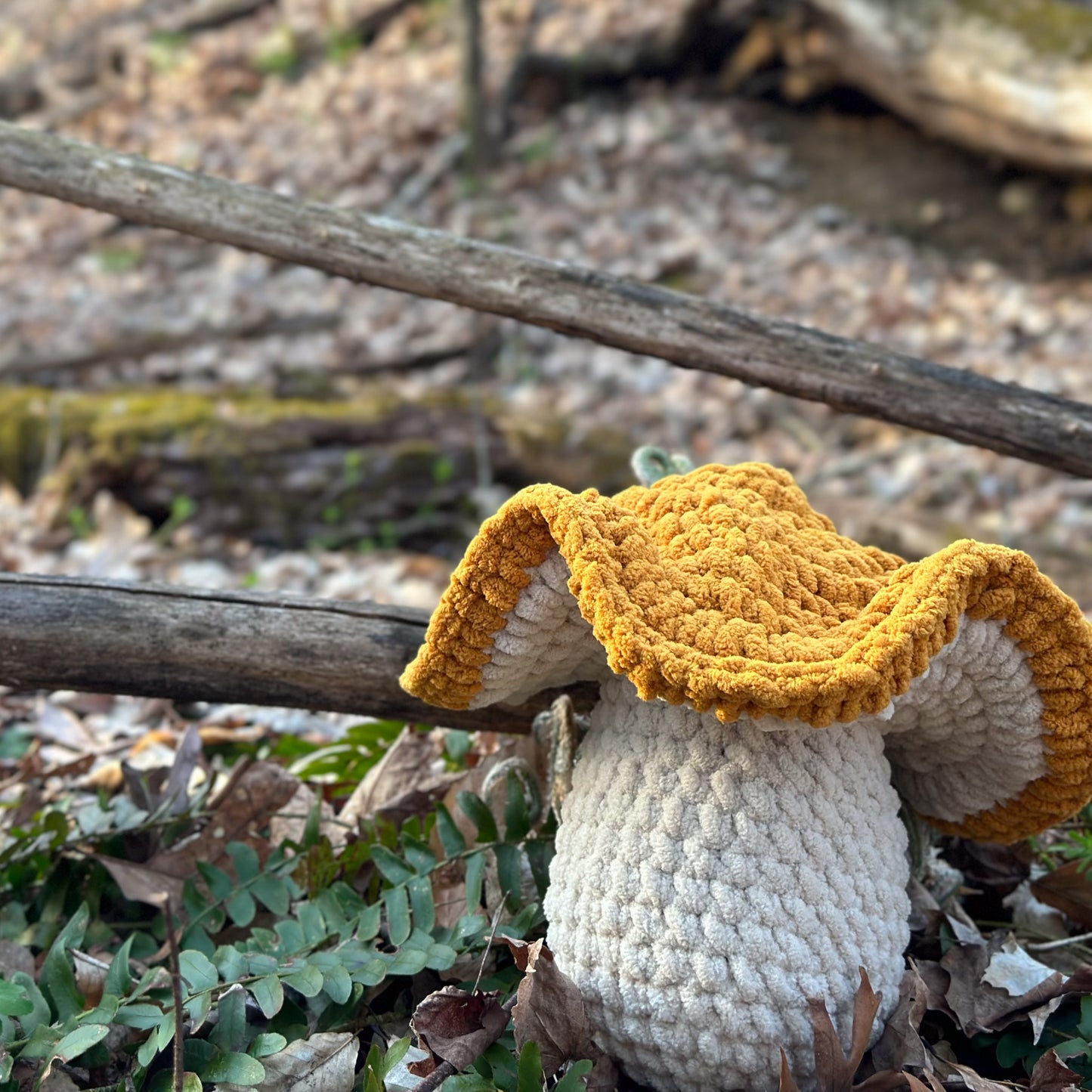Crochet Yellow Chanterelle Mushroom Pillow