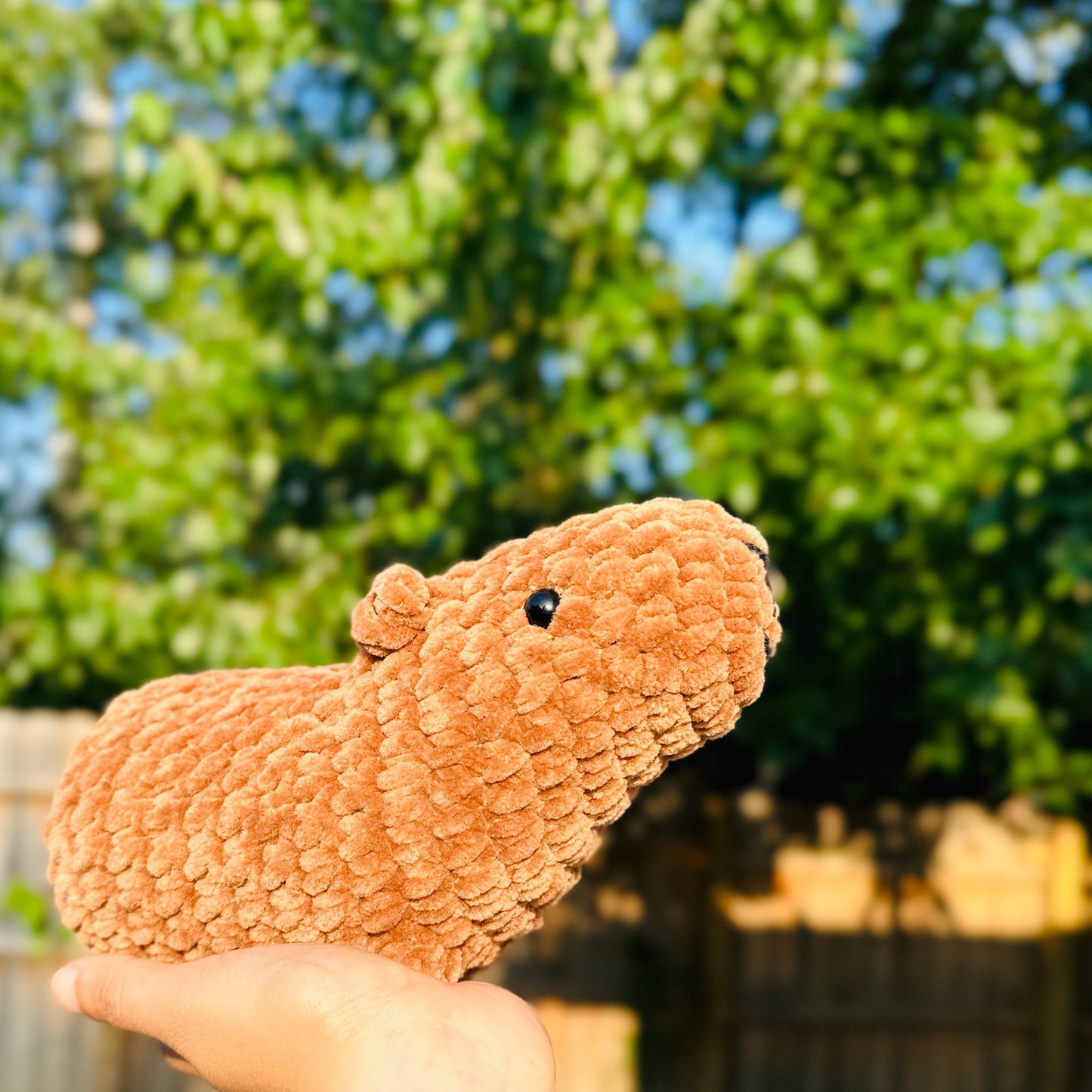 Cute Crochet Capybara Birthday Gift