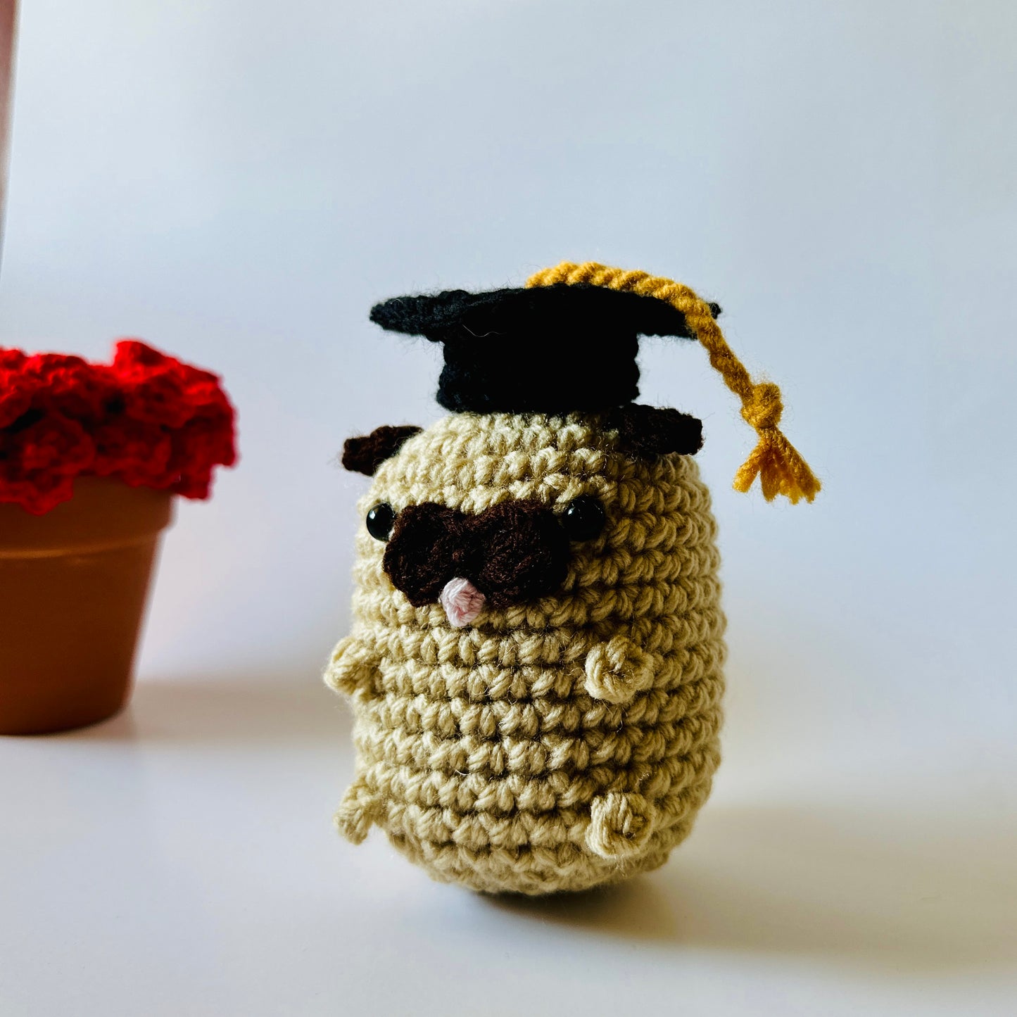Pug Graduation Gift