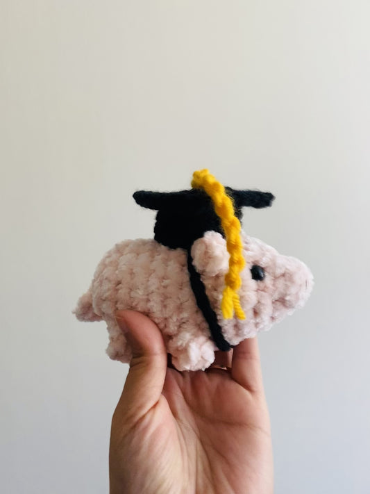 Mini Pig with Graduation Cap Gift
