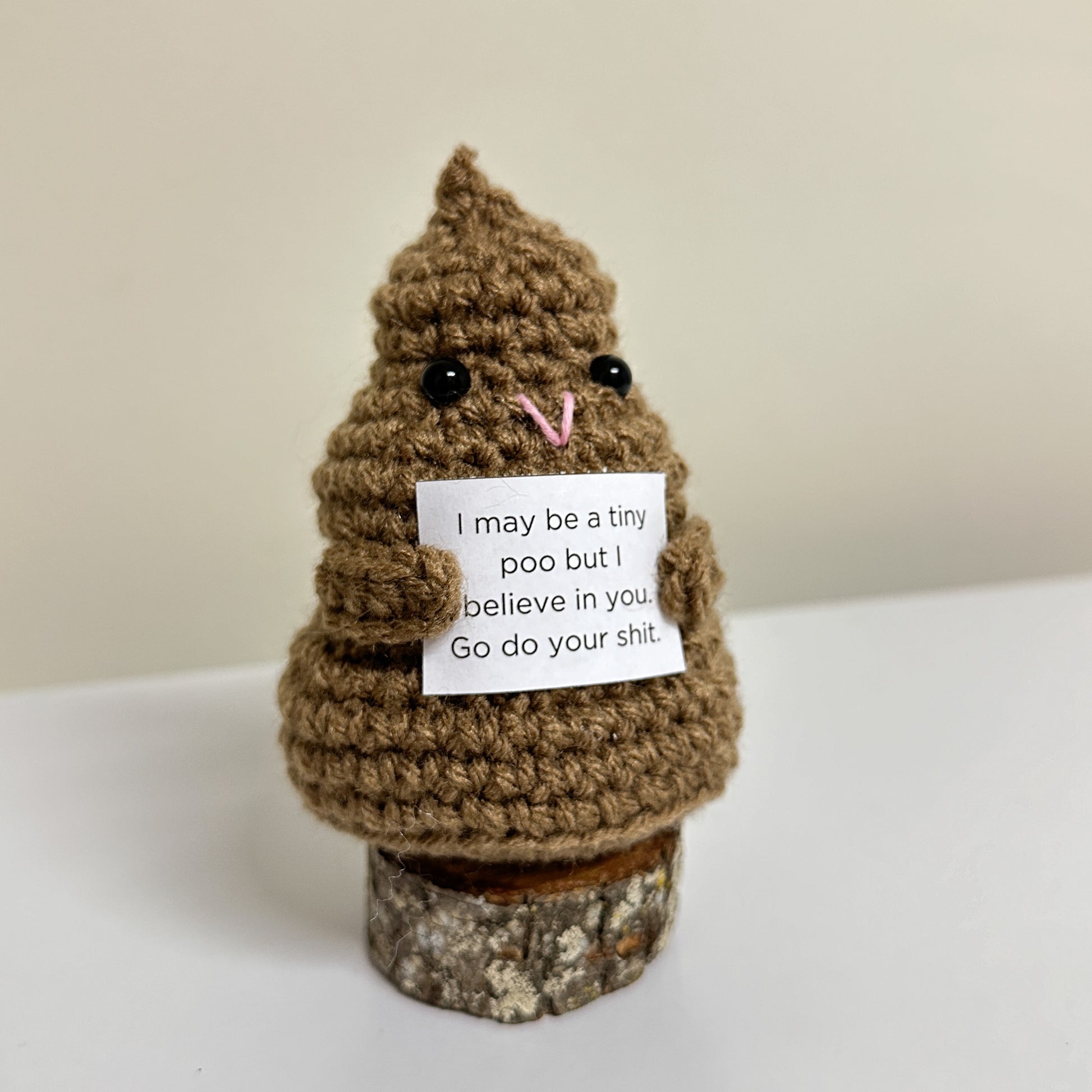 Cute Poo, Positive Poo, Emotional Support Poo, Encouraging Gift