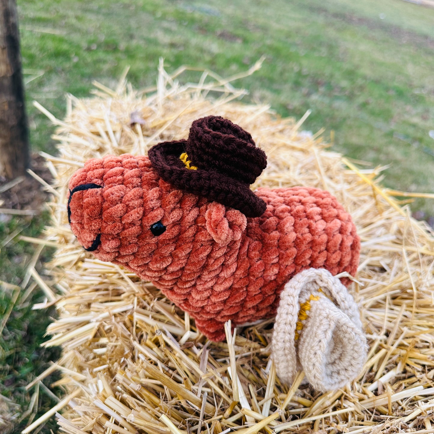 Cowboy Capybara