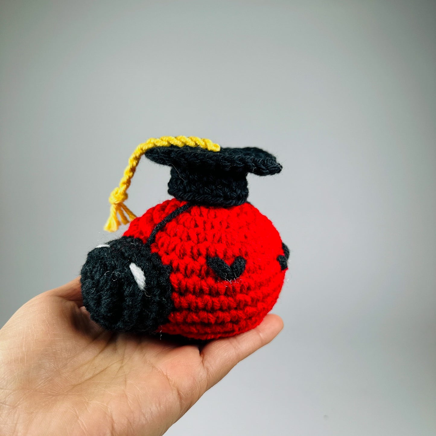 Ladybug with Graduation Cap