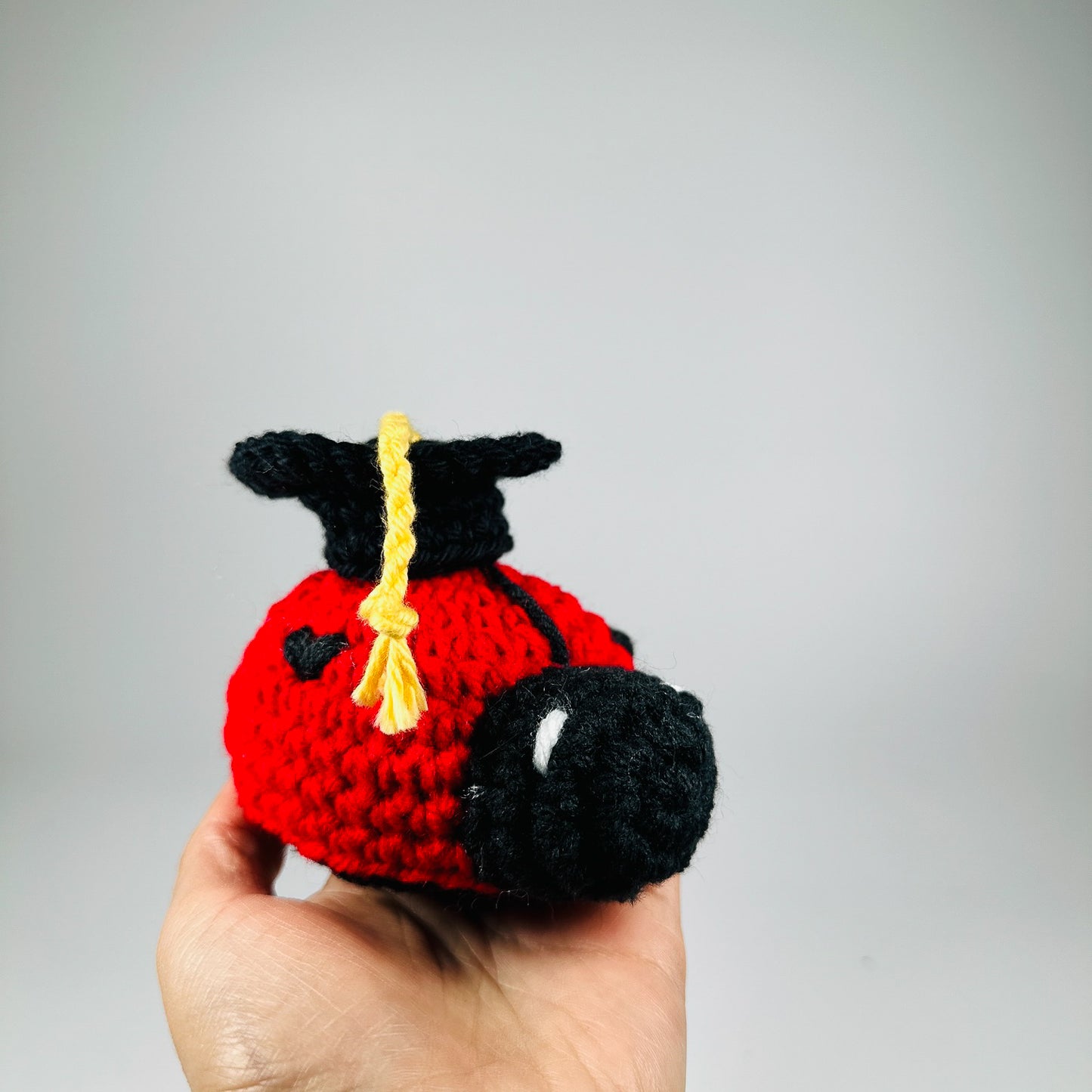 Ladybug with Graduation Cap