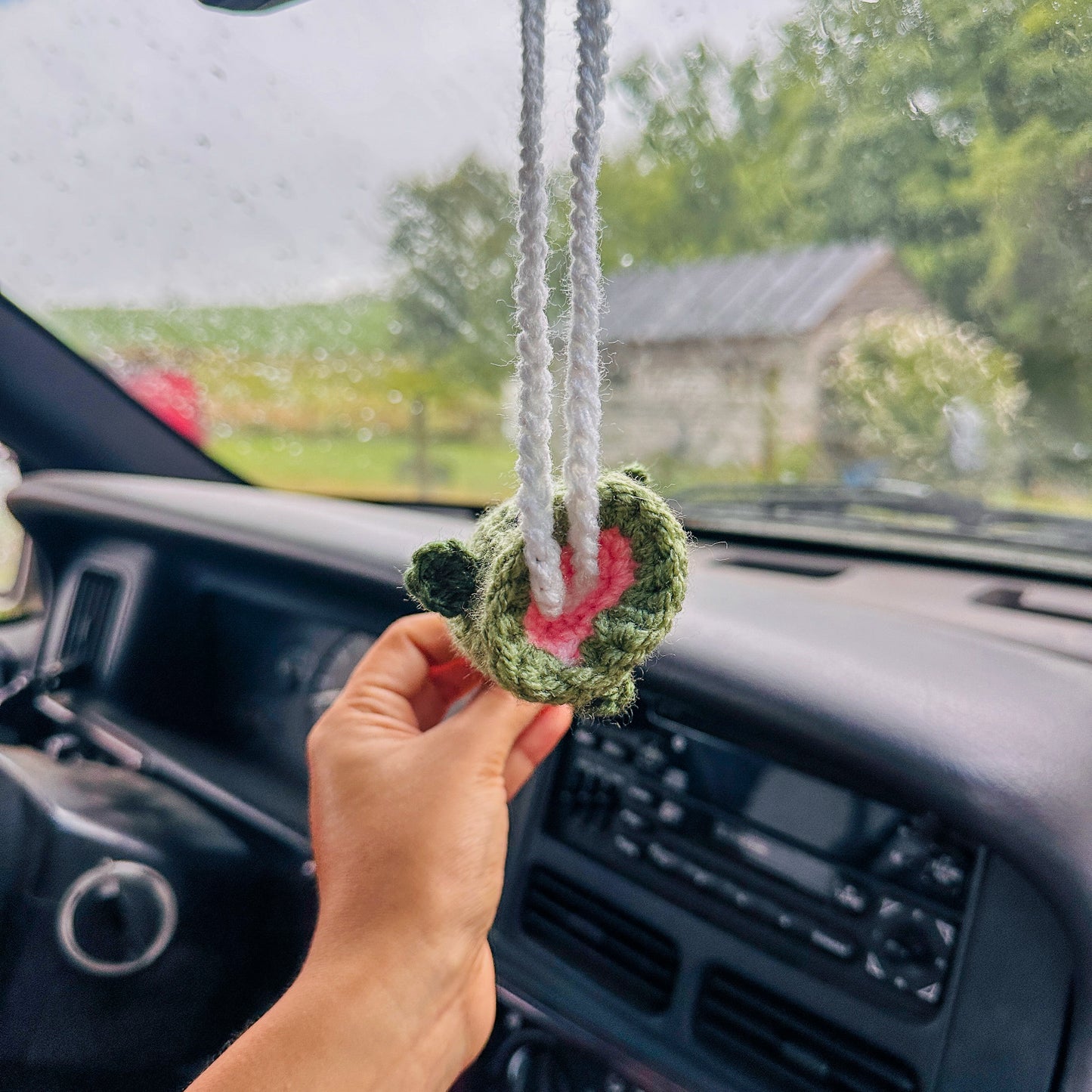 Sea Bass Car Decor