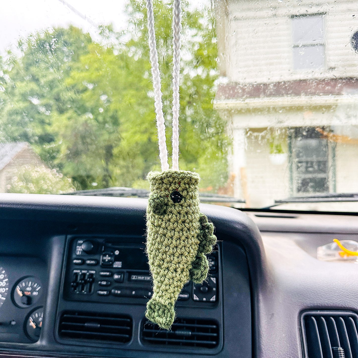 Sea Bass Car Decor