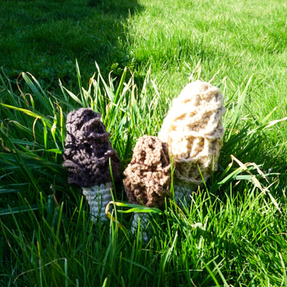 Morel Mushrooms Gift