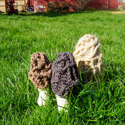 Morel Mushrooms Gift