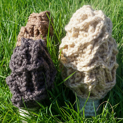 Morel Mushrooms Gift